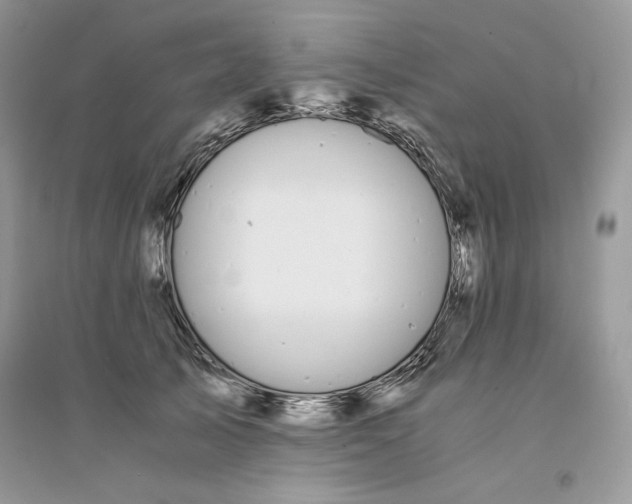 X0000094430705200711291533