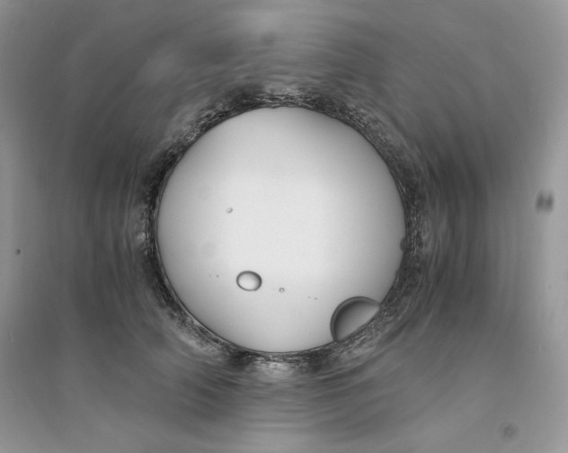 X0000094430706200711291533