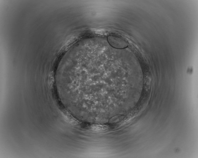 X0000094430707200711291533