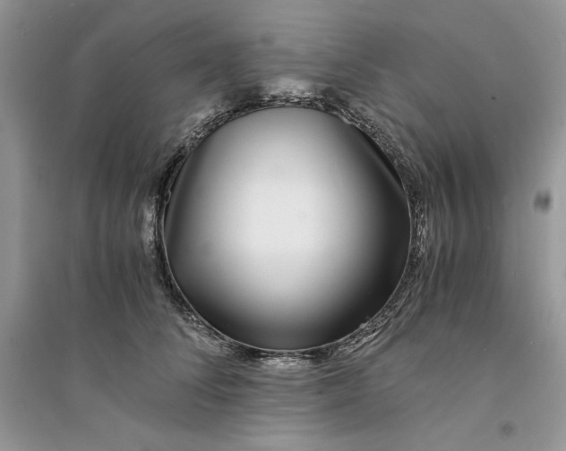 X0000094430708200711291533