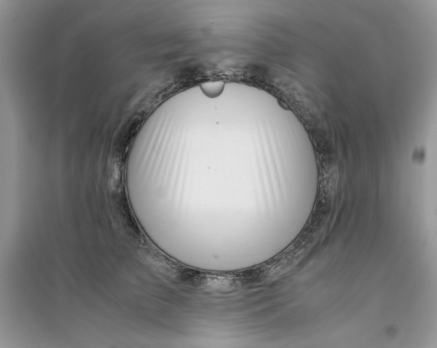 X0000094430709200711291533