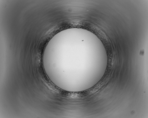 X0000094430710200711291533