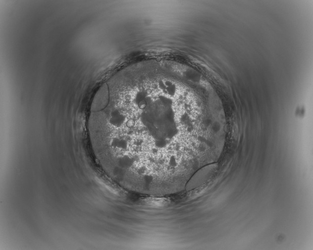 X0000094430711200711291533