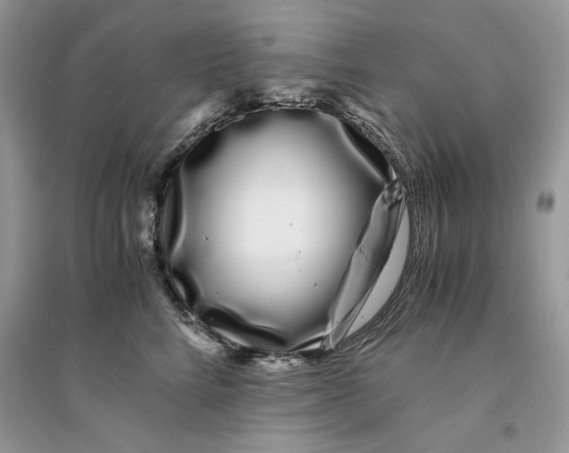 X0000094430712200711291533