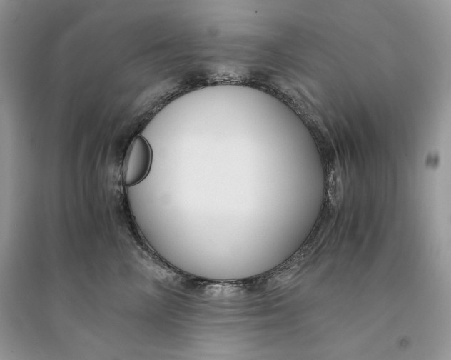 X0000094430714200711291533