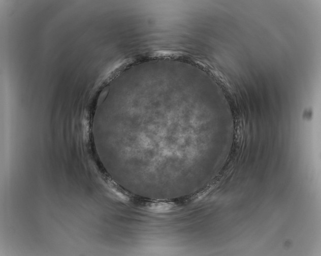 X0000094430716200711291533