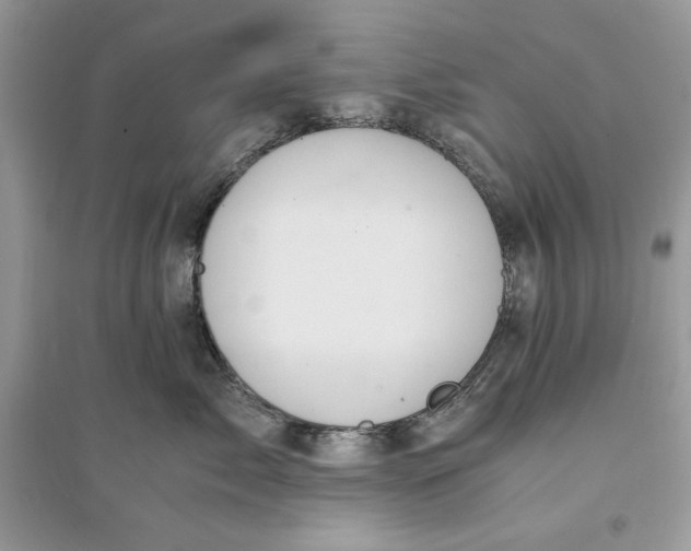 X0000094430717200711291533