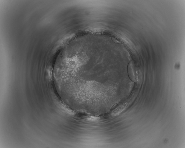 X0000094430718200711291533