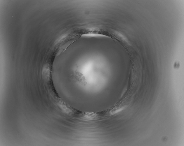 X0000094430720200711291533