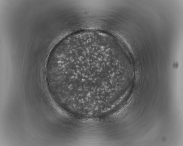 X0000094430721200711291532