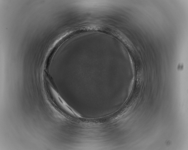 X0000094430722200711291532