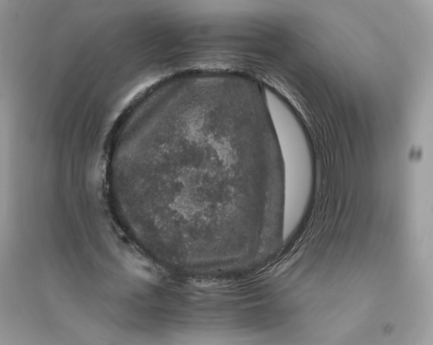 X0000094430723200711291532