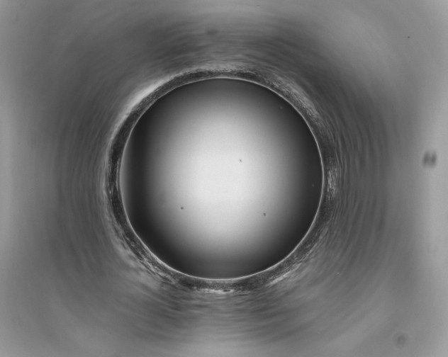 X0000094430724200711291532