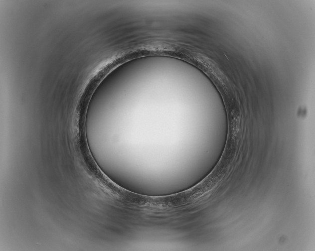 X0000094430727200711291532