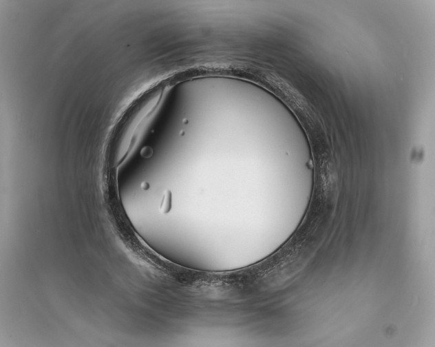 X0000094430728200711291532