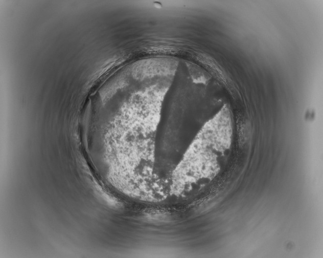 X0000094430729200711291532