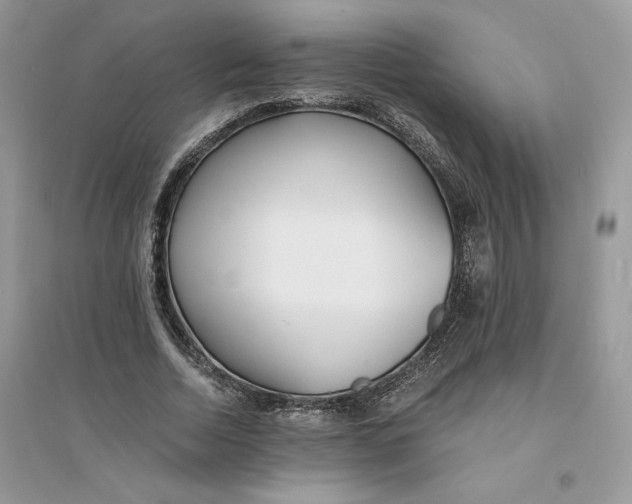 X0000094430730200711291532