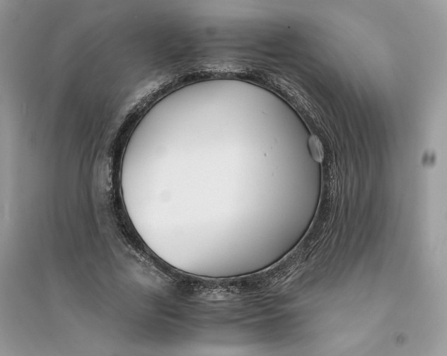 X0000094430731200711291532