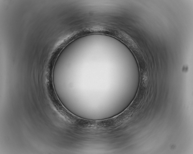 X0000094430732200711291532