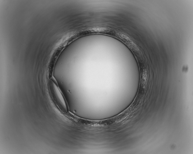 X0000094430734200711291532