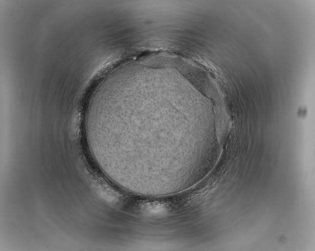 X0000094430735200711291532