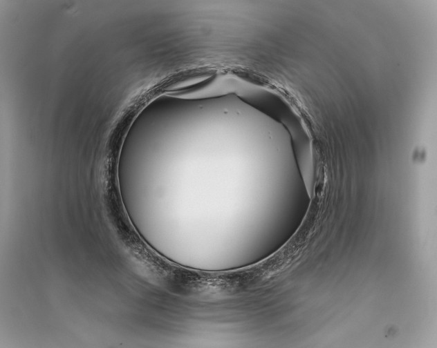 X0000094430736200711291532