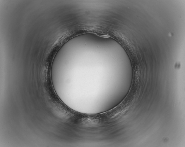 X0000094430739200711291532