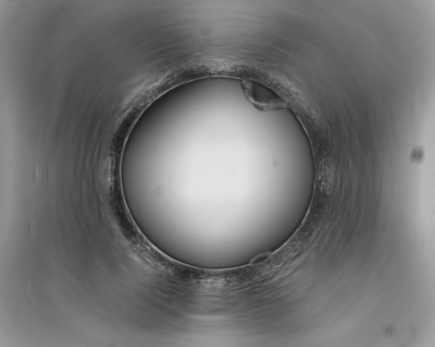 X0000094430740200711291532