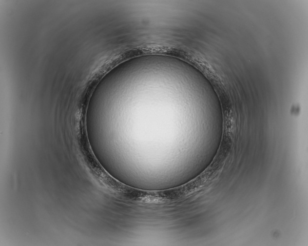 X0000094430742200711291532