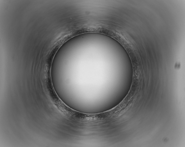 X0000094430744200711291532