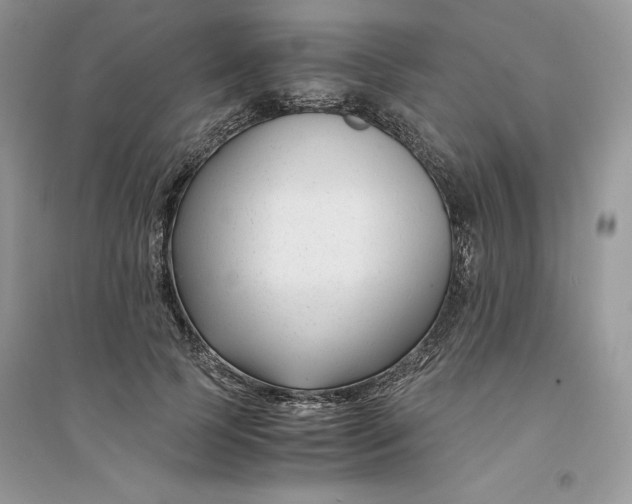 X0000094430745200711291532