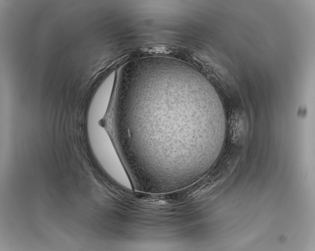 X0000094430747200711291532