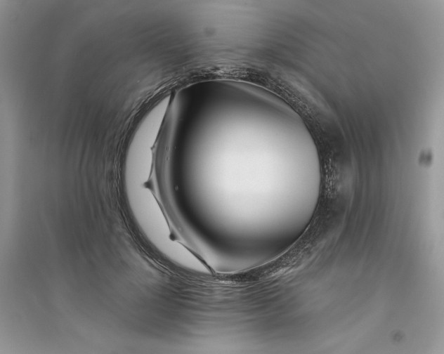 X0000094430748200711291532