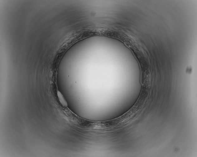 X0000094430750200711291532