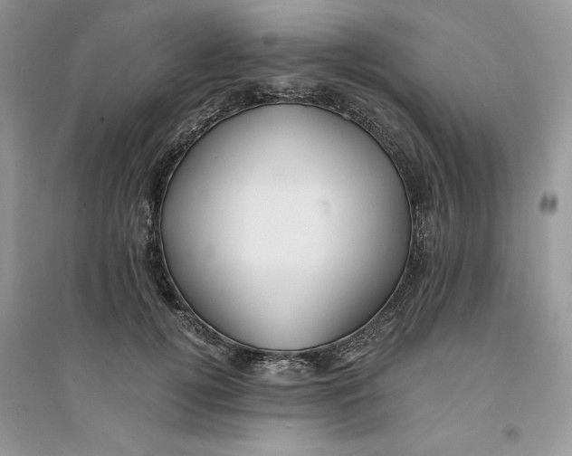 X0000094430752200711291532