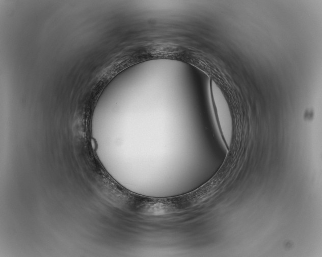 X0000094430755200711291532