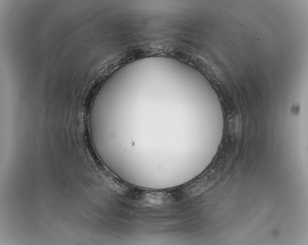 X0000094430757200711291532