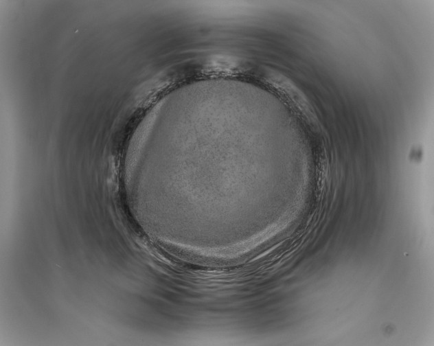 X0000094430759200711291532