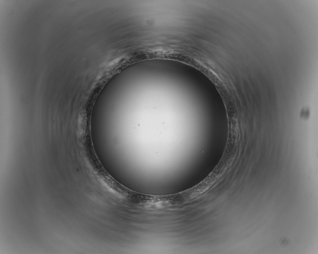 X0000094430760200711291532