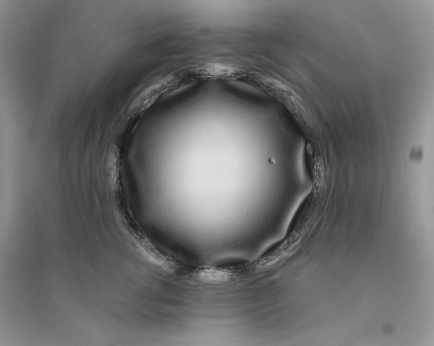 X0000094430762200711291532