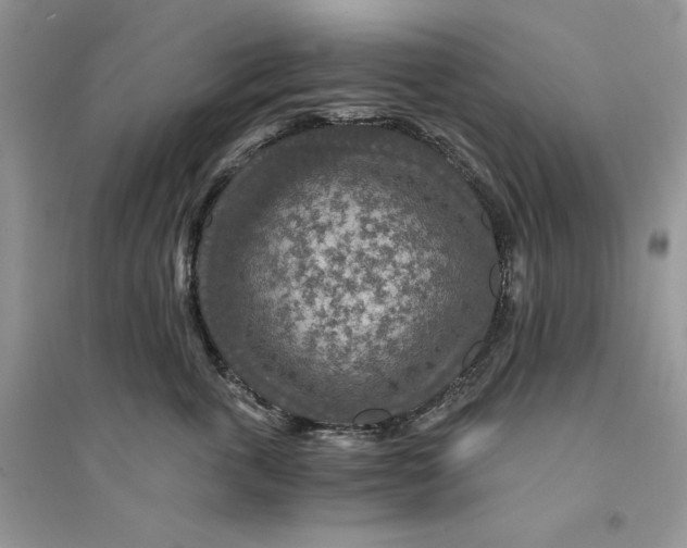 X0000094430763200711291532