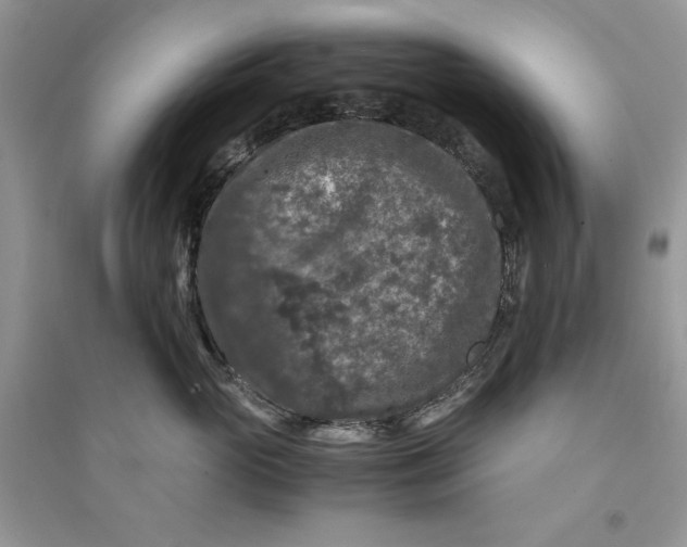 X0000094430765200711291532