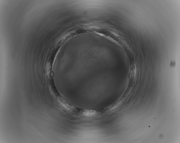 X0000094430767200711291532