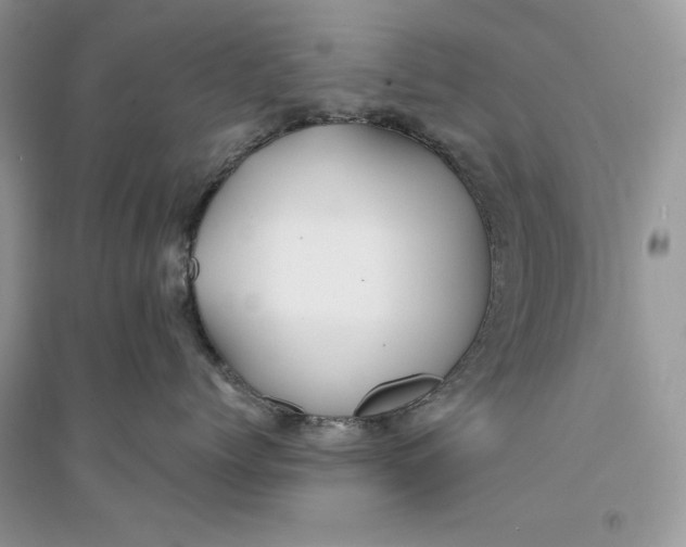 X0000094430768200711291533