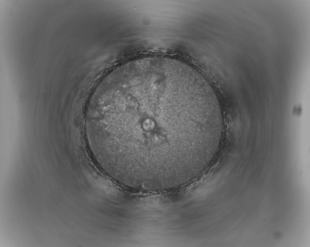 X0000094430769200711291532