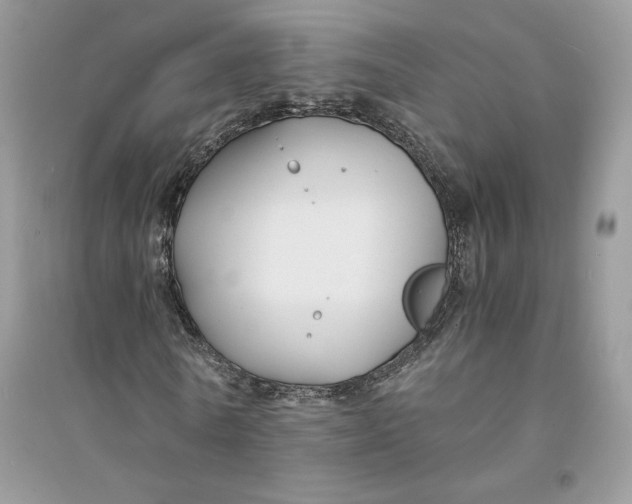 X0000094430770200711291532