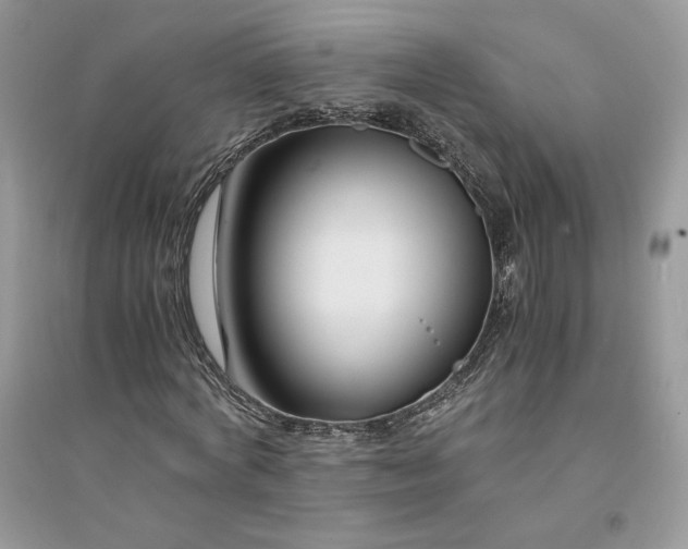 X0000094430772200711291532