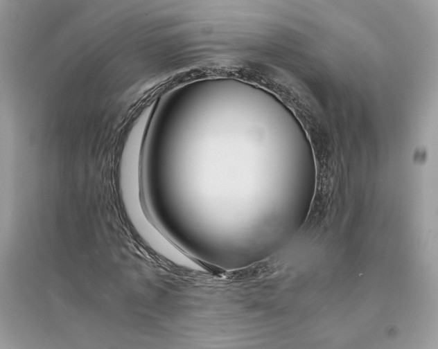 X0000094430773200711291532