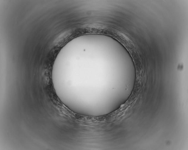 X0000094430774200711291532