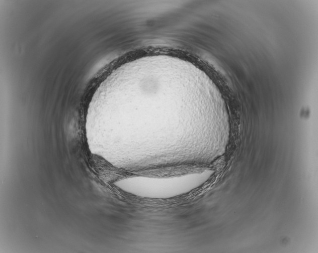 X0000094430775200711291532